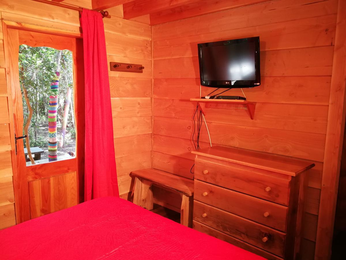 Okori Hostel Pucón Zewnętrze zdjęcie