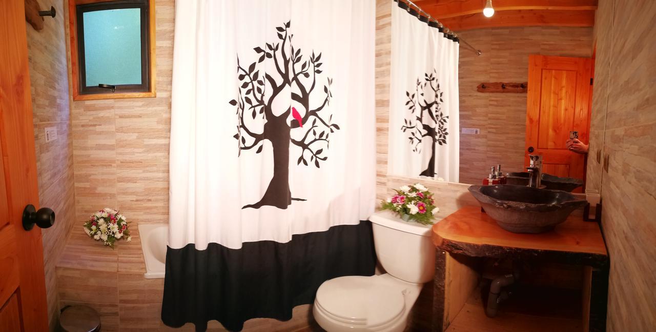 Okori Hostel Pucón Zewnętrze zdjęcie