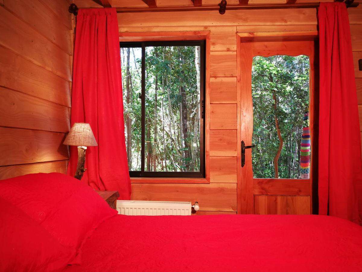 Okori Hostel Pucón Zewnętrze zdjęcie